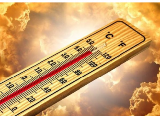 Stari indijski trik za rashlađivanje kuće: Prirodno rješenje, a potpuno je besplatno