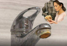 Trik za ČIŠĆENJE KAMENCA se širi kao zaraza: Srpska influenserka otkrila caku – ne treba vam NI VODA, samo 1 stvar koju SVI imamo