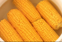Zlatni TRIK za NAJSOČNIJI i NAJMEKŠI kuhani kukuruz: Tajna je u dodavanju ova 2 SASTOJKA u vodu