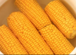 Zlatni TRIK za NAJSOČNIJI i NAJMEKŠI kuhani kukuruz: Tajna je u dodavanju ova 2 SASTOJKA u vodu