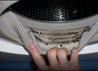 NAJBOLJI SAVJET IKADA: Evo kako da iz veš mašine uklonite buđ i sav neprijatan miris!