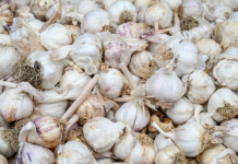 Ne bacajte ljuske od belog luka, čuvaćete ih kao oči u glavi kada čujete koliko su korisne za domaćinstvo