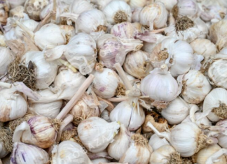 Ne bacajte ljuske od belog luka, čuvaćete ih kao oči u glavi kada čujete koliko su korisne za domaćinstvo