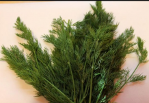 SNAŽNIJI JE OD BIJELOG LUKA: Svi bi trebalo da znaju kakav je efekat ove neupadljive biljke ljeti – ne stavljate je samo u krastavce!