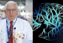 NEUROLOG: Mozak ne voli masnoće, duvan i alkohol. Ali on voli OVO i svi bi trebali znati za to!