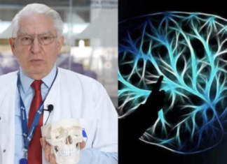 NEUROLOG: Mozak ne voli masnoće, duvan i alkohol. Ali on voli OVO i svi bi trebali znati za to!