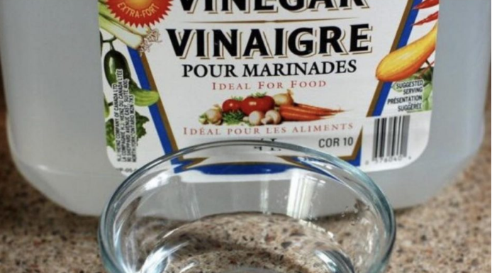 Sipajte sirće u posudu i ostavite tokom noći u kuhinji, UJUTRO ĆE VAS DOČEKATI VELIKO IZNENAĐENJE