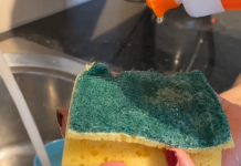 Trik za koji mnogi nisu znali: Sunđer treba držati u frižideru, razlog će vas iznenaditi