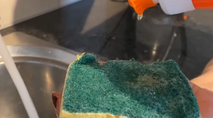 Trik za koji mnogi nisu znali: Sunđer treba držati u frižideru, razlog će vas iznenaditi