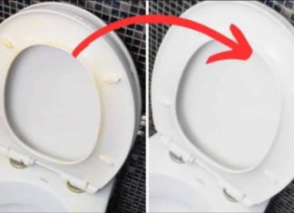 Savršen TRIK moje svekrve za uklanjanje ŽUTE mrlje sa WC daske: Kao nov je!