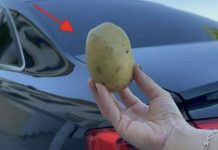 Imati 1 krompir u autu može vam spasiti život i niko vam to neće reći!