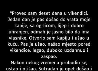 Proveo sam deset dana u vikendici…