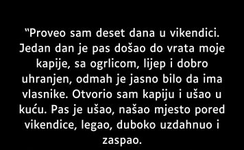 Proveo sam deset dana u vikendici…