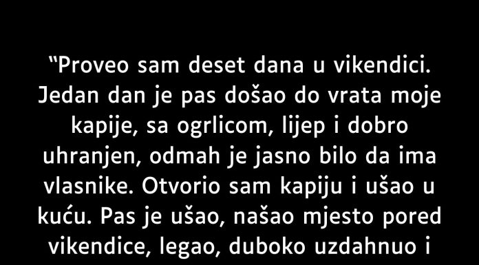 Proveo sam deset dana u vikendici…