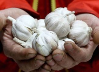 IZUZETNO JE ZDRAV I KORISTAN, ALI OPREZNO: Ovi ljudi NIKAKO ne bi trebali da jedu BIJELI LUK!