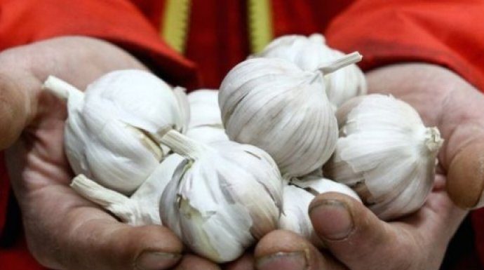 IZUZETNO JE ZDRAV I KORISTAN, ALI OPREZNO: Ovi ljudi NIKAKO ne bi trebali da jedu BIJELI LUK!