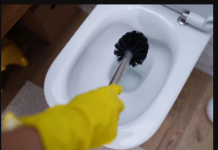 Žena sipala 50 grama OVOG PRAHA u wc šolju, poklopila je i ostavila preko noći: Ujutru je sav kamenac nestao