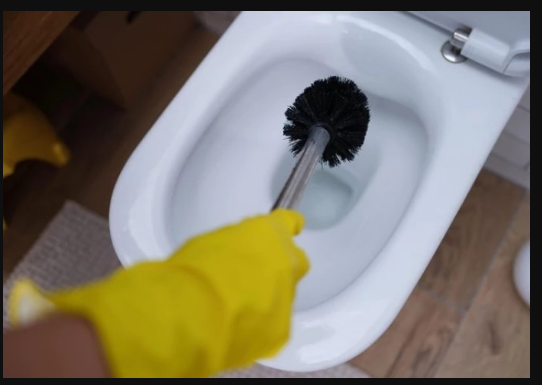 Žena sipala 50 grama OVOG PRAHA u wc šolju, poklopila je i ostavila preko noći: Ujutru je sav kamenac nestao