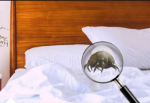 KOLIKO PUTA MJESEČNO MJENJATE POSTELJINU? Ako Je OVO Vaš Odgovor Onda Morate OZBILJNO Da Se Zabrinete!