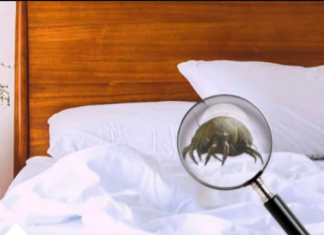 KOLIKO PUTA MJESEČNO MJENJATE POSTELJINU? Ako Je OVO Vaš Odgovor Onda Morate OZBILJNO Da Se Zabrinete!