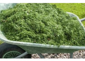 NIKAD NEMOJTE BACATI POKOŠENU TRAVU, samo uradite ovo! Bolje od 100 gnojiva!