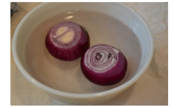 ISJECKALA JE CRNI LUK I STAVILA PORED KREVETA PREKO NOĆI! Kada se probudila, NIJE MOGLA DA VJERUJE ŠTA SE DESILO!