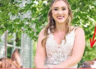 OVA SLIKA JE NAJVEĆI HIT, LJUDI PLAČU OD SMIJEHA: Kad vidite donji dio slike NEĆE VAM BITI DOBRO