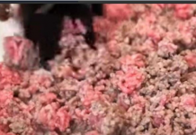 ZAŠTO SE PRVO PRŽI MLJEVENO MESO, PA SE TEK ONDA DODAJE CRNI LUK? Kuvarica otkrila tajnu, LJUDI ZINULI OD ŠOKA