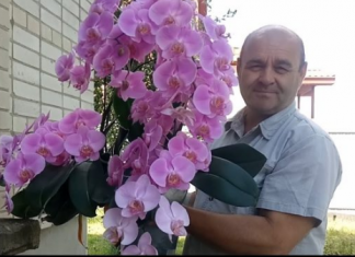 Dobitnik nagrade u uzgoju orhideja otkrio je ključ da imate najljepše cvijeće oko sebe: VRLO JE JEDNOSTAVNO