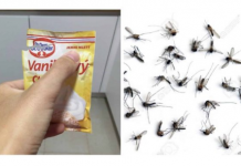 SAMO 1 PAKETIĆ VANILIN ŠEĆERA I NE TREBA VAM REPELENT: Savršen trik za omražene komarce, djeluje bolje od kemije!
