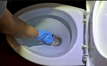 SERVISAR me je posavjetovao kako da očistim toalet bez hemikalija: 1 čišćenje je dovoljno za cijelu godinu!