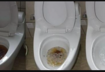 OVA stvar je uklonila svu prljavštinu, kamenac i tamne mrlje iz toaleta: 15 minuta i kao nova!