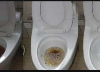 OVA stvar je uklonila svu prljavštinu, kamenac i tamne mrlje iz toaleta: 15 minuta i kao nova!