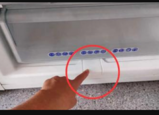 Ima ga u skoro svakom zamrzivaču: Malo ljudi zna čemu OVA STVAR služi!