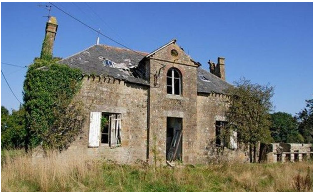 KUPIO ZAPUŠTENU KUĆU DA JE SREDI I PRODA: Kad je saznao šta se krije U DVORIŠTU, ostao U ŠOKU! Sad je ne bi dao ni za brdo para