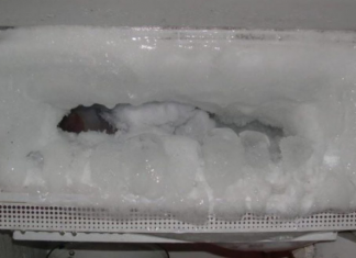 Riješite se naslaga leda u frižideru uz jednu namirnicu koju svi imamo u kući: Trik zlata vrijedan