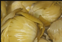 NEĆETE VJEROVATI ZBOG ČEGA SE KVARI KISELI KUPUS: Ovo OBAVEZNO morate da PROVJERITE ili će VAM PROPASTI