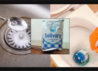 Svako ko zna ove trikove će riješiti začepljen sudoper, mrave ili korov tijekom cijele godine: JEFTINA KUHINJSKA SO TO MOŽE!