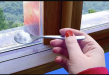 Sipajte ga oko prozora i ispred vrata i nećete više vidjeti mrave, paukove ili muhe: NAJJAČA KUĆNA MJEŠAVINA PROTIV ŠTETOČINA!