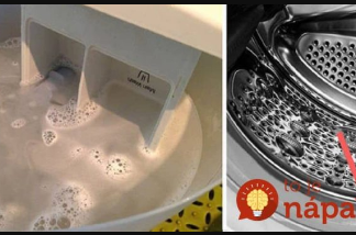 SVI HVALE SIRĆE, ALI OVO JE STO PUTA BOLJE: U porodici majstora veš mašina sam naučio kako da očistim celu veš mašinu što je brže moguće!