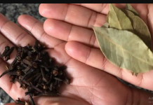 Skuvajte 2 lovorova lista, 4 karanfilića i nikad ne zaboravite ovaj recept: SPAS ZA OTOK, BOL I SLAB IMUNITET!