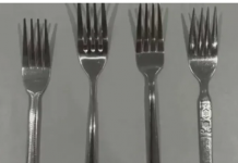 PSIHOLOŠKI TEST: Odaberi viljušku i otkrij šta to govori o tebi