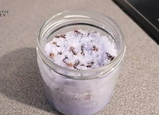 Uzmite čašu sirćeta, običnih karanfilića i dobro sačuvajte ovaj domaći trik: KORISTIM GA GODINAMA I PREPORUČUJEM SVIMA!