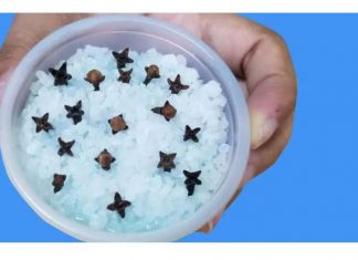 Kupatilo moje svekrve uvek lepo miriše, samo otvori vrata: OVO JE NJENA TAJNA!