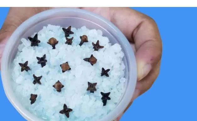 Kupatilo moje svekrve uvek lepo miriše, samo otvori vrata: OVO JE NJENA TAJNA!