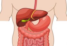 7 stvari koje nikako ne bi trebalo raditi nakon jela: Mogu ozbiljno ugroziti zdravlje i rad creva