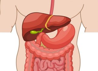 7 stvari koje nikako ne bi trebalo raditi nakon jela: Mogu ozbiljno ugroziti zdravlje i rad creva