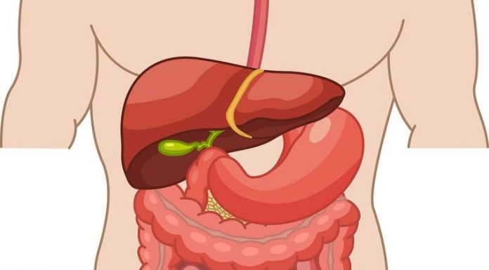 7 stvari koje nikako ne bi trebalo raditi nakon jela: Mogu ozbiljno ugroziti zdravlje i rad creva