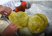 NE MOŽE DA UKISELI, KOLIKO SE TRAŽI: Obrenovčanka od kiselog kupusa napravila biznis, ukiselila TONE – NE ZNA SE ŠTA BOLJE IDE, GLAVICE IL’ LISKE