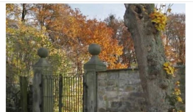 Mnogi nisu uspjeli: Ako za 12 sekundi pronađete skrivenu ženu na fotografiji, imate visok IQ